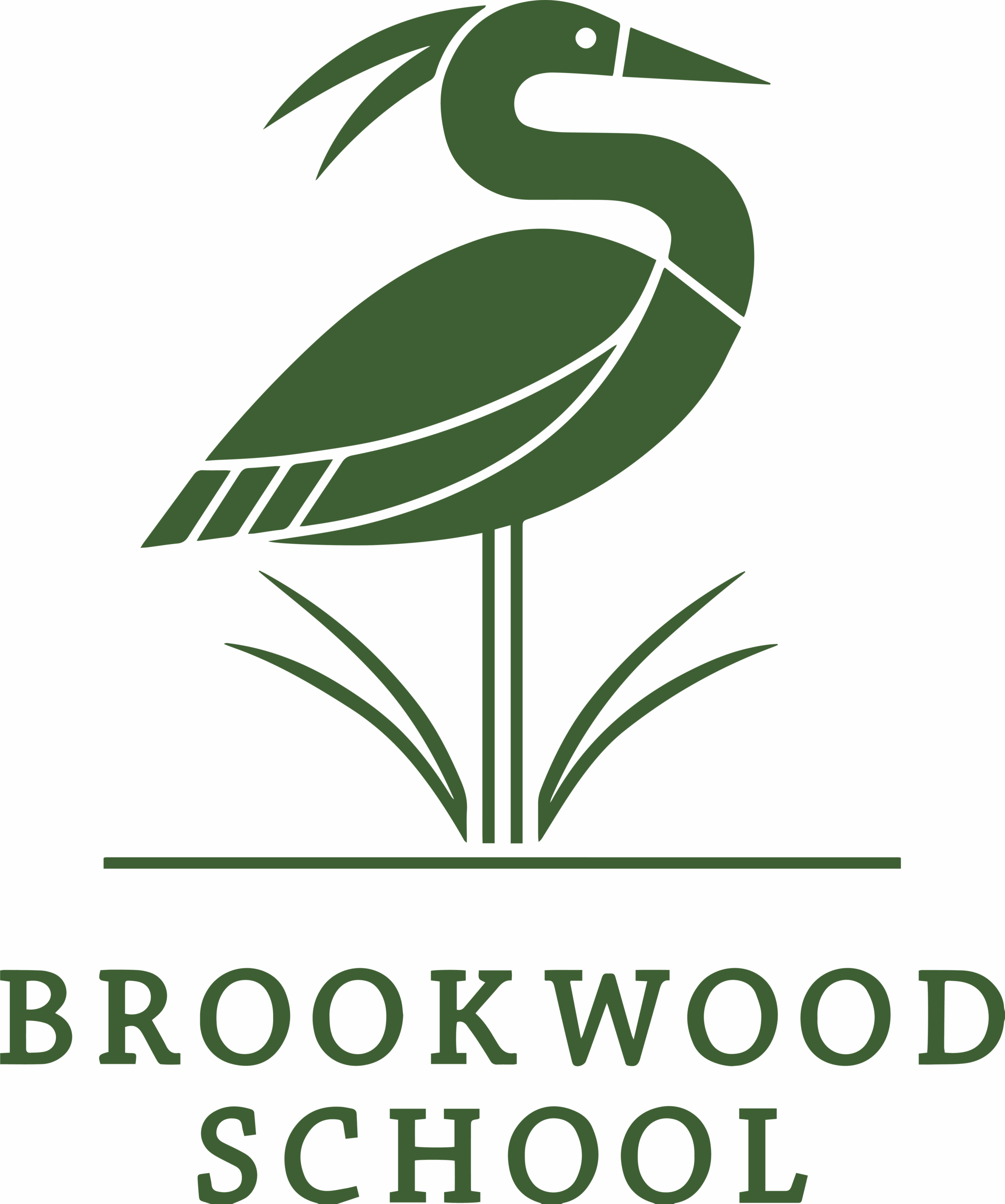 Brookwood School Logo